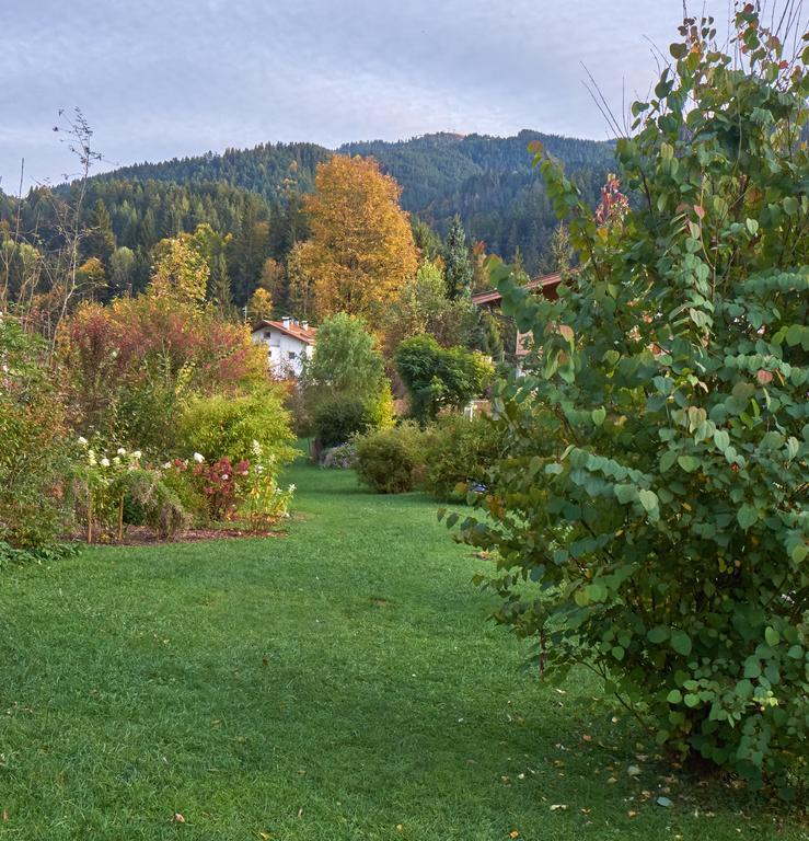 Pension Aloisia Scheffau am Wilden Kaiser Exterior photo